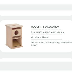 Wooden Peekaboo Box