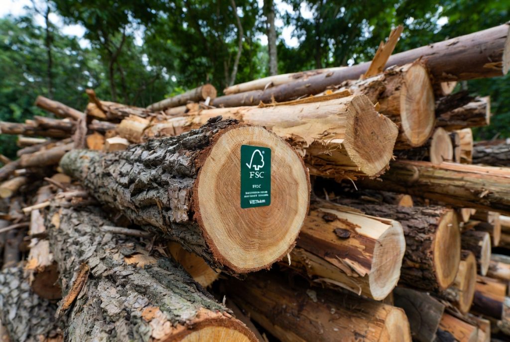 Private Labeling Wooden Montessori Toys